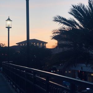 Meet your Posher, Peyton